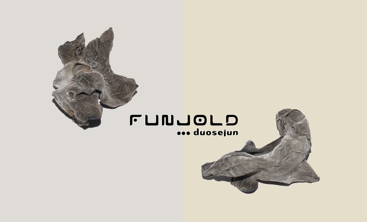 多色菌（图ZNTk5MjcxNzI=） - 其他平面 - 站酷设计师停道酬勤原创素材 - 站酷ZCOOL