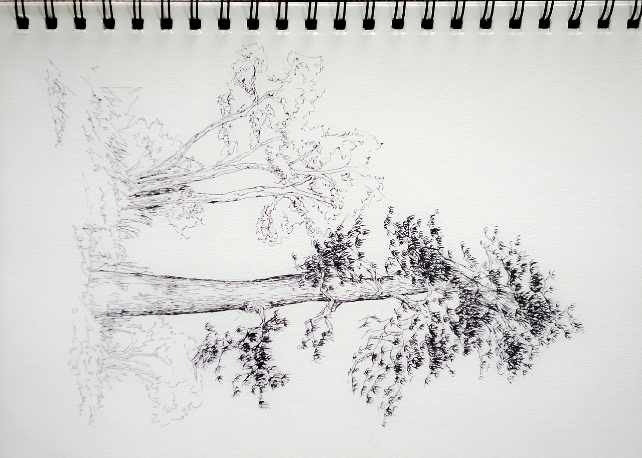 手绘整理（图ZNjMyNzE3ODg=） - 创作习作 - 站酷设计师摄影师赵显魁原创素材 - 站酷ZCOOL