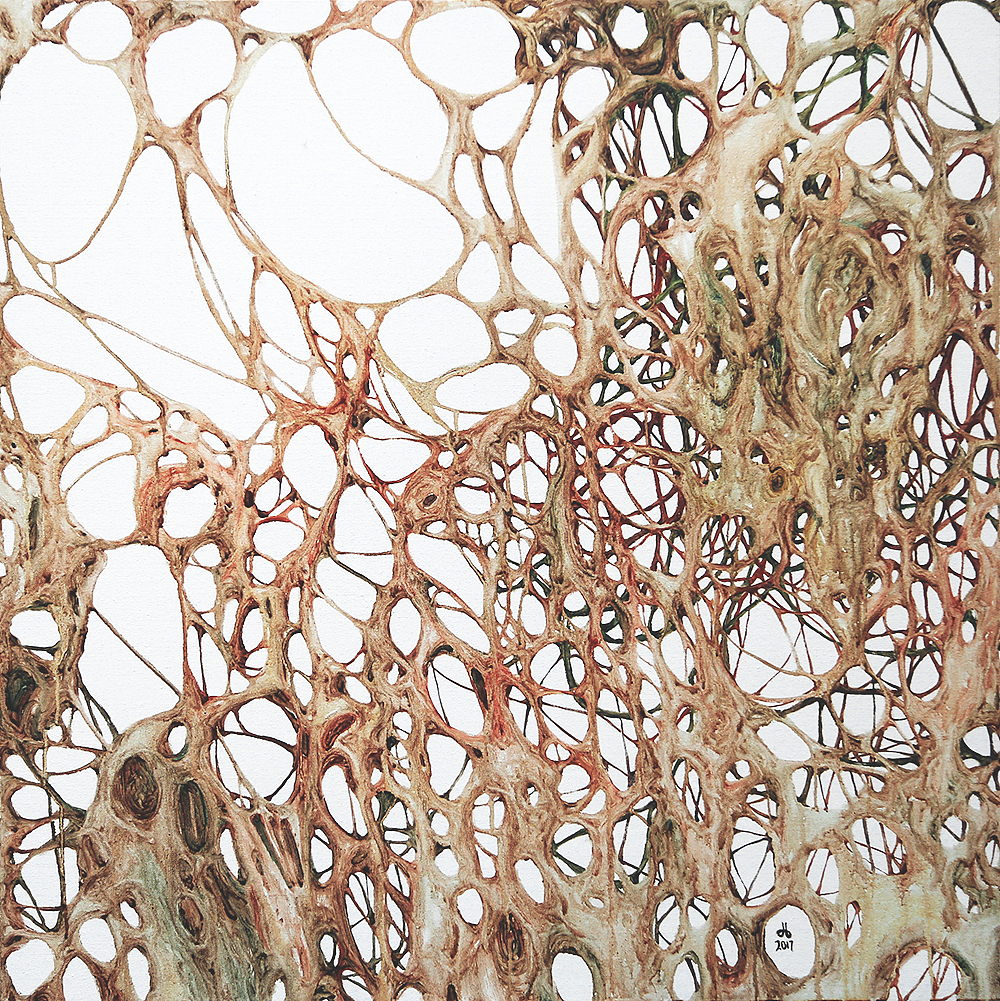 皮囊之三 撕开卑微与小心翼翼让快感飞一会儿