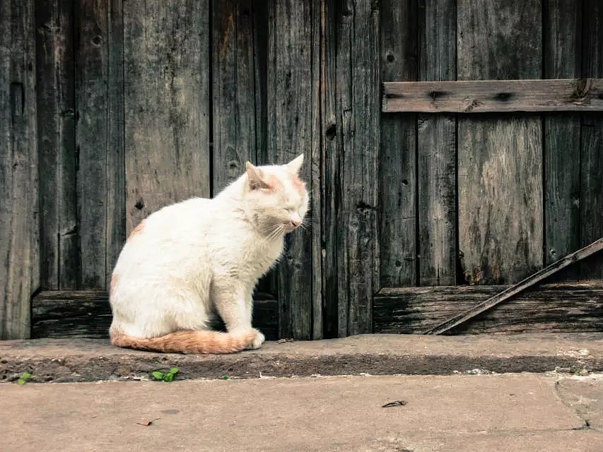 摄影作品（图ZMTQ5NTgwNTUy） - 其他摄影 - 站酷设计师LeBronHolmes原创素材 - 站酷ZCOOL