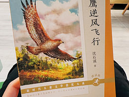 沈石溪系列插画配图