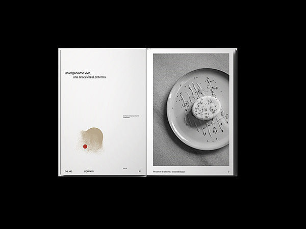 设计分享/ 品牌- MO de Movimiento