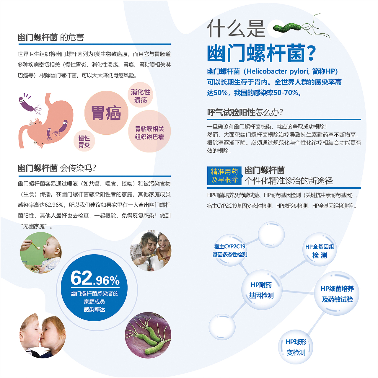 幽门螺杆菌科普宣传对折页