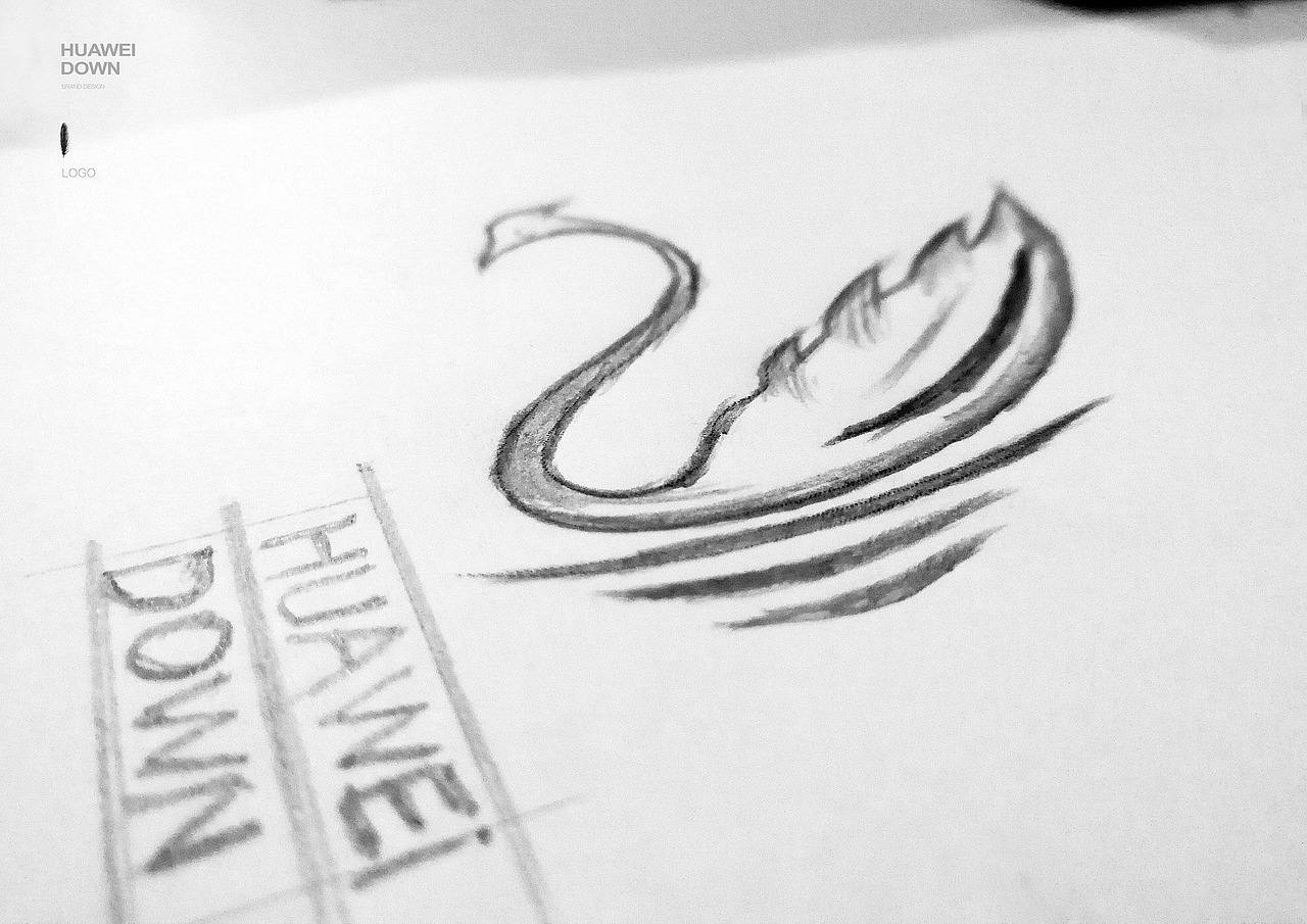 服装LOGO LOGO设计 羽绒品牌设计