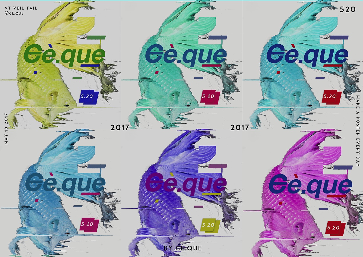 暹罗斗鱼520海报