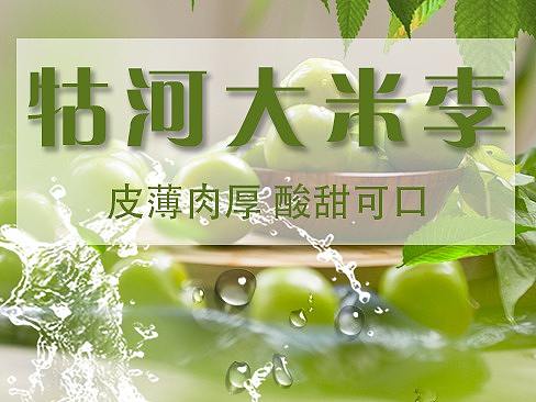 详情页（个人主页-ZNDA4ODkzODA=） - 电商 - 站酷设计师Z17002654原创素材 - 站酷ZCOOL