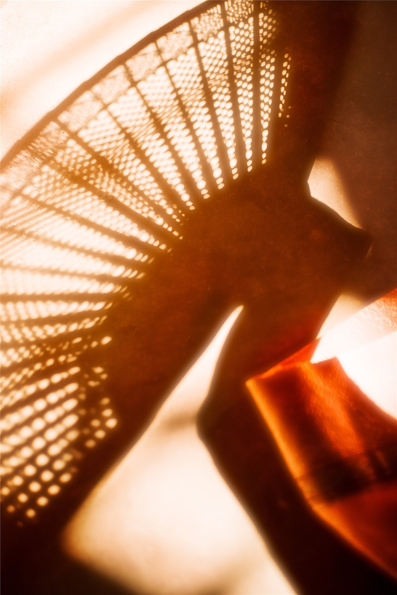 《泽梦集·承影流光》