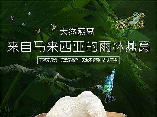 燕窝（个人主页-ZNTQ3MTM3MTY=） - 电商 - 站酷设计师Holjona原创素材 - 站酷ZCOOL