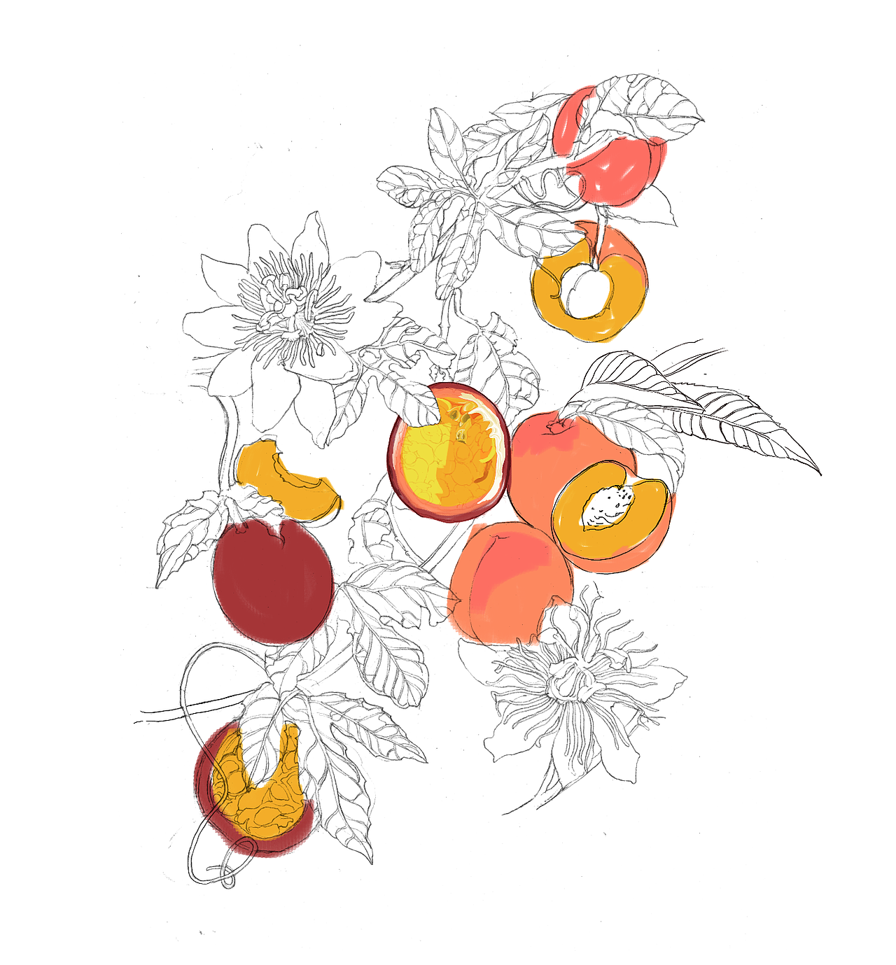 百香果先森蜜桃小姐（图ZMTEwOTUzODYw） - 商业插画 - 站酷设计师卓君梵原创素材 - 站酷ZCOOL