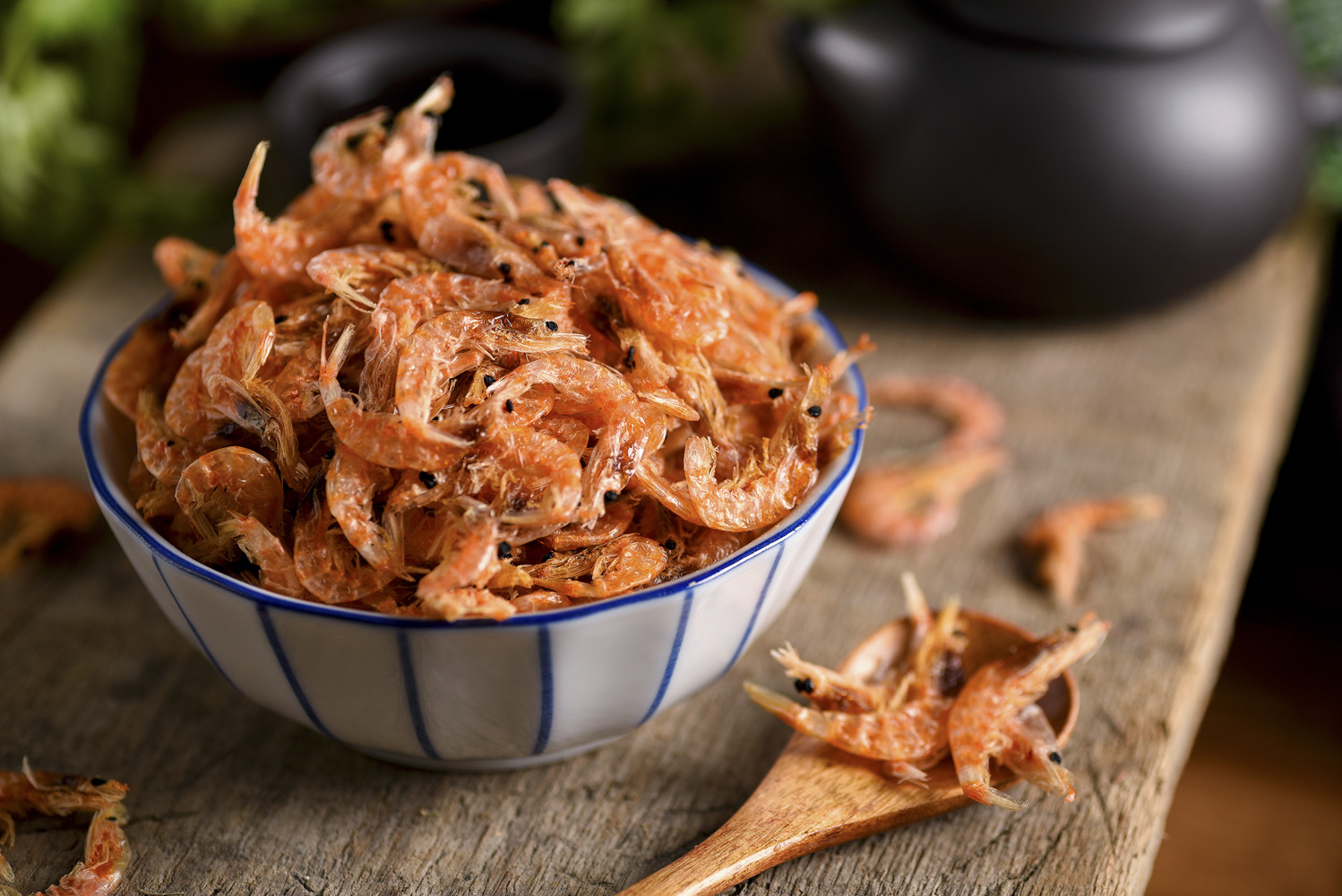 南极鳞虾 红虾皮拍摄