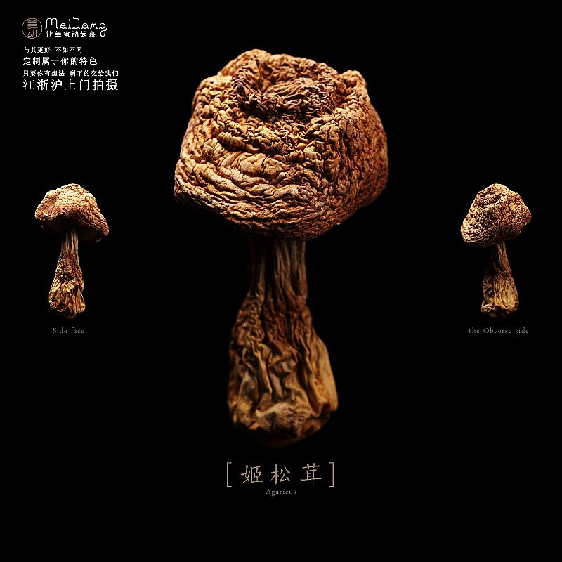 菌菇类美食摄影素材欣赏,欢迎来到不同的世界