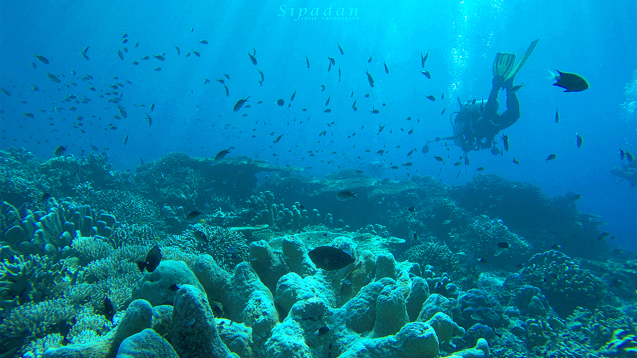 海底奇遇记——仙本那（图ZNTMxNjg4NDg=） - 风光摄影 - 站酷设计师晓若xiaoruo原创素材 - 站酷ZCOOL