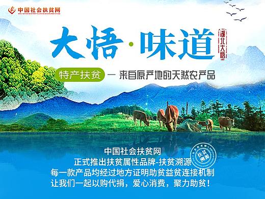 专题