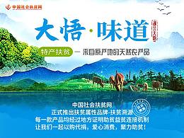 专题