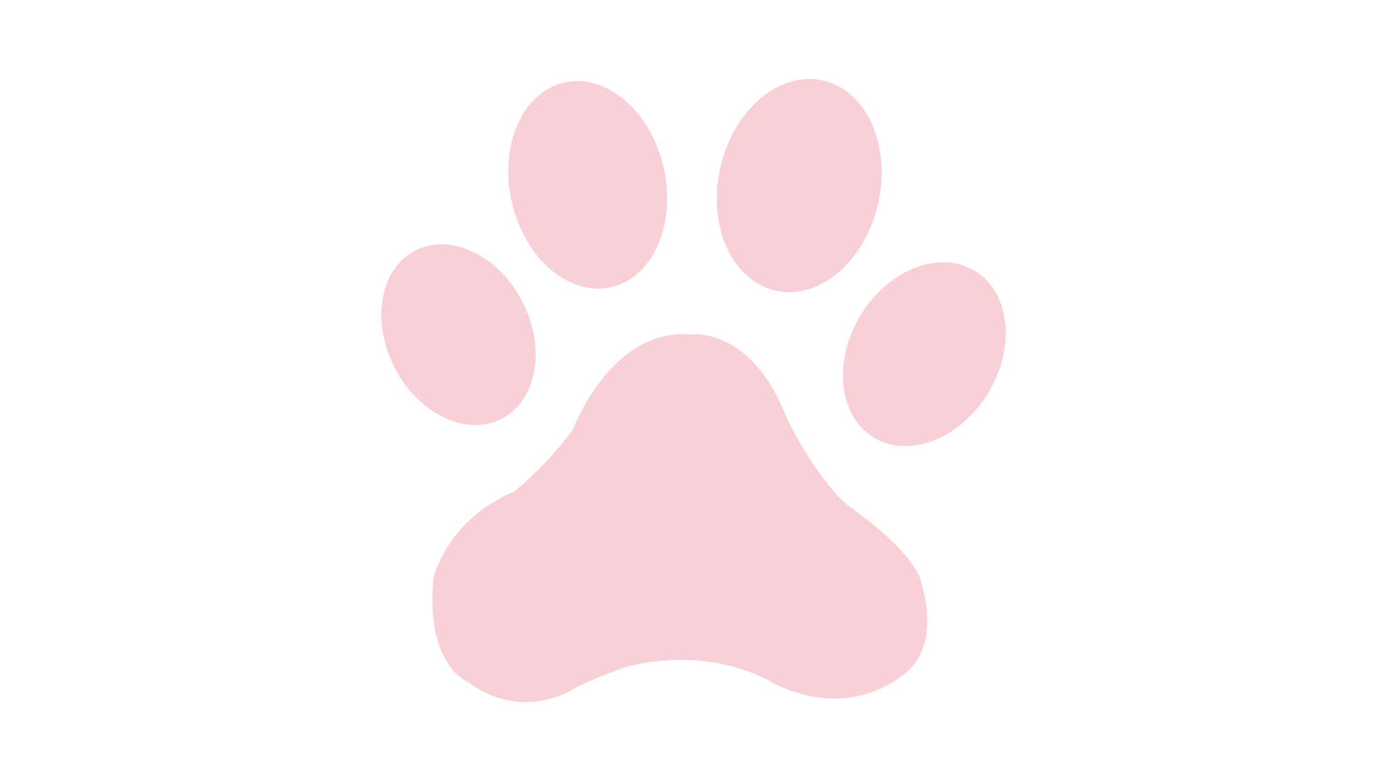 棠棠不是糖的个人主页（背景预览） - 主页背景设置 - 站酷设计师棠棠不是糖原创素材 - 站酷ZCOOL