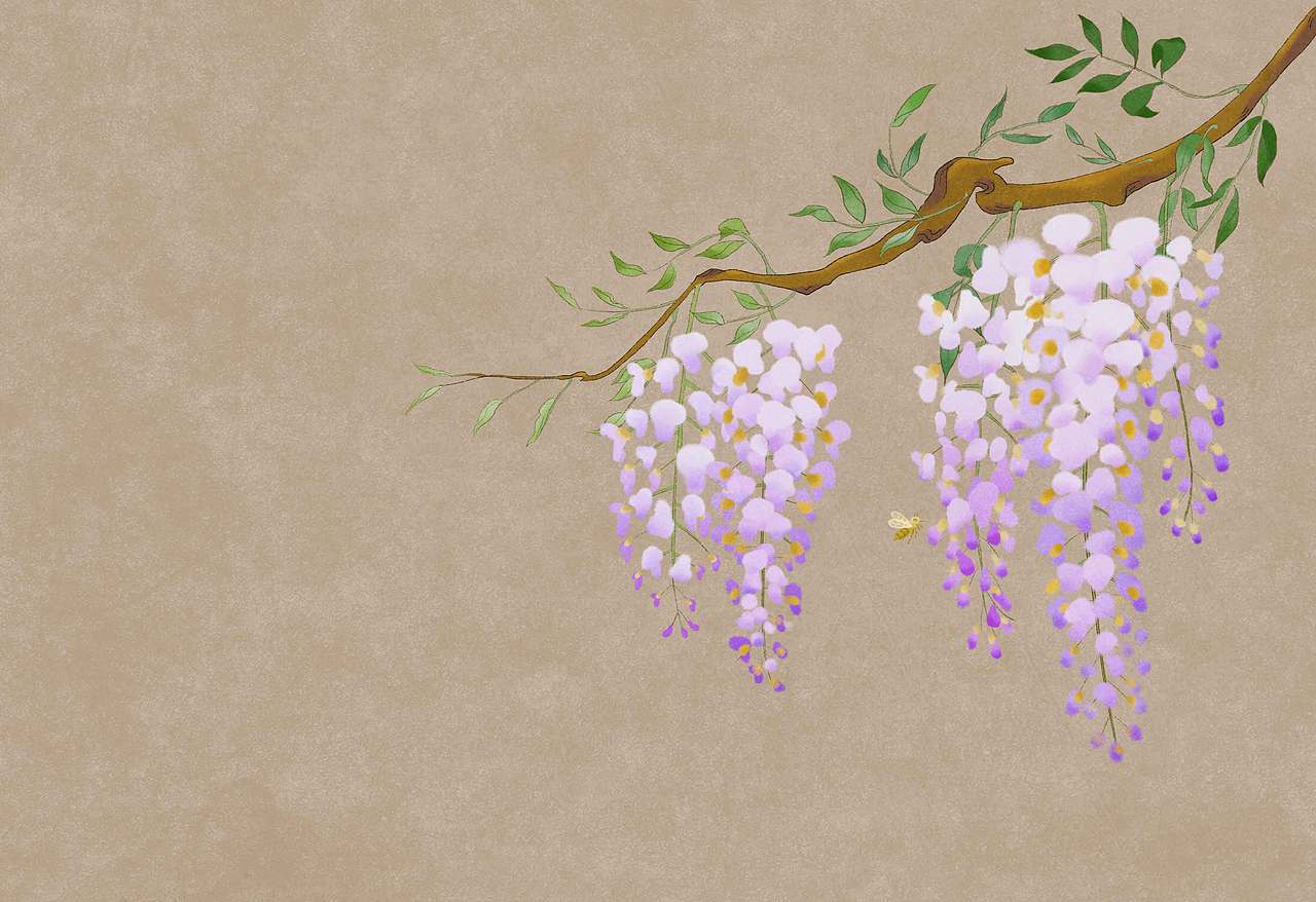 國風(fēng)工筆畫花卉紫藤花蘭花虞美人（圖ZMjk3MjE5OTI0） - 創(chuàng)作習(xí)作 - 站酷設(shè)計(jì)師燎青麥原創(chuàng)素材 - 站酷ZCOOL