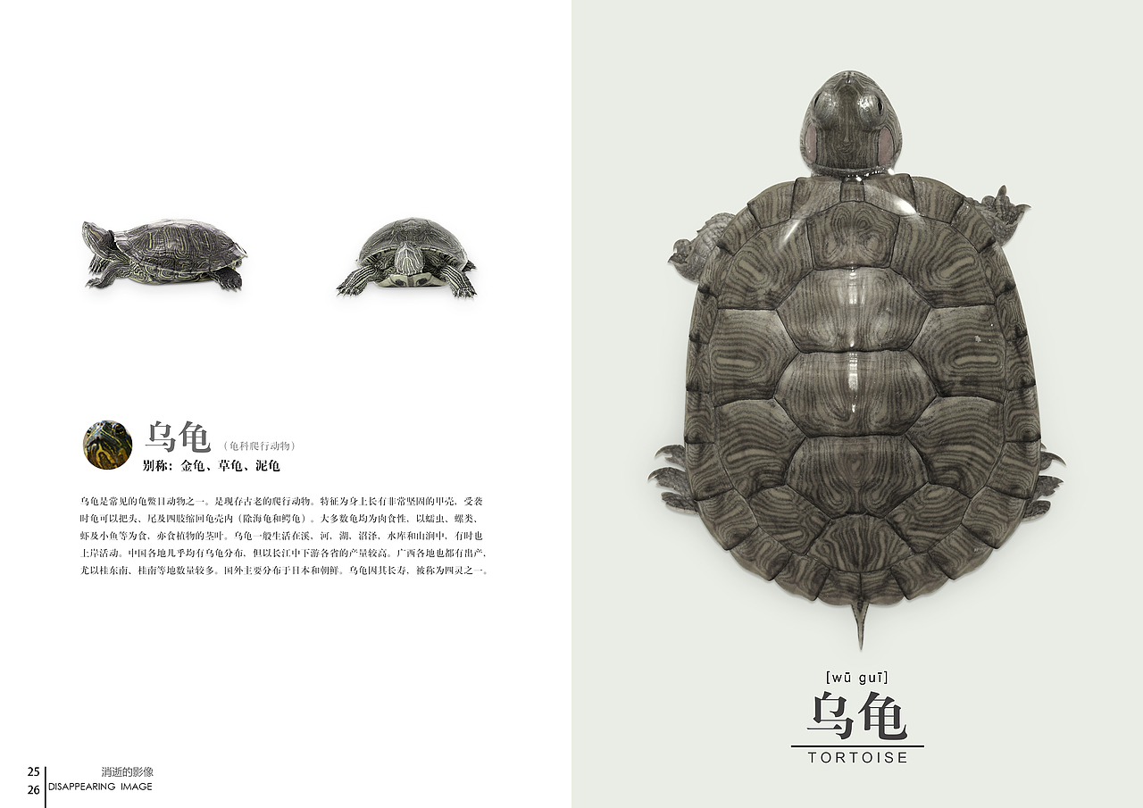 消逝的影像——我们身边的“他们”系列书籍版式设计（图ZMTcwNDUzNzI=） - 书籍/画册 - 站酷设计师盐菜原创素材 - 站酷ZCOOL