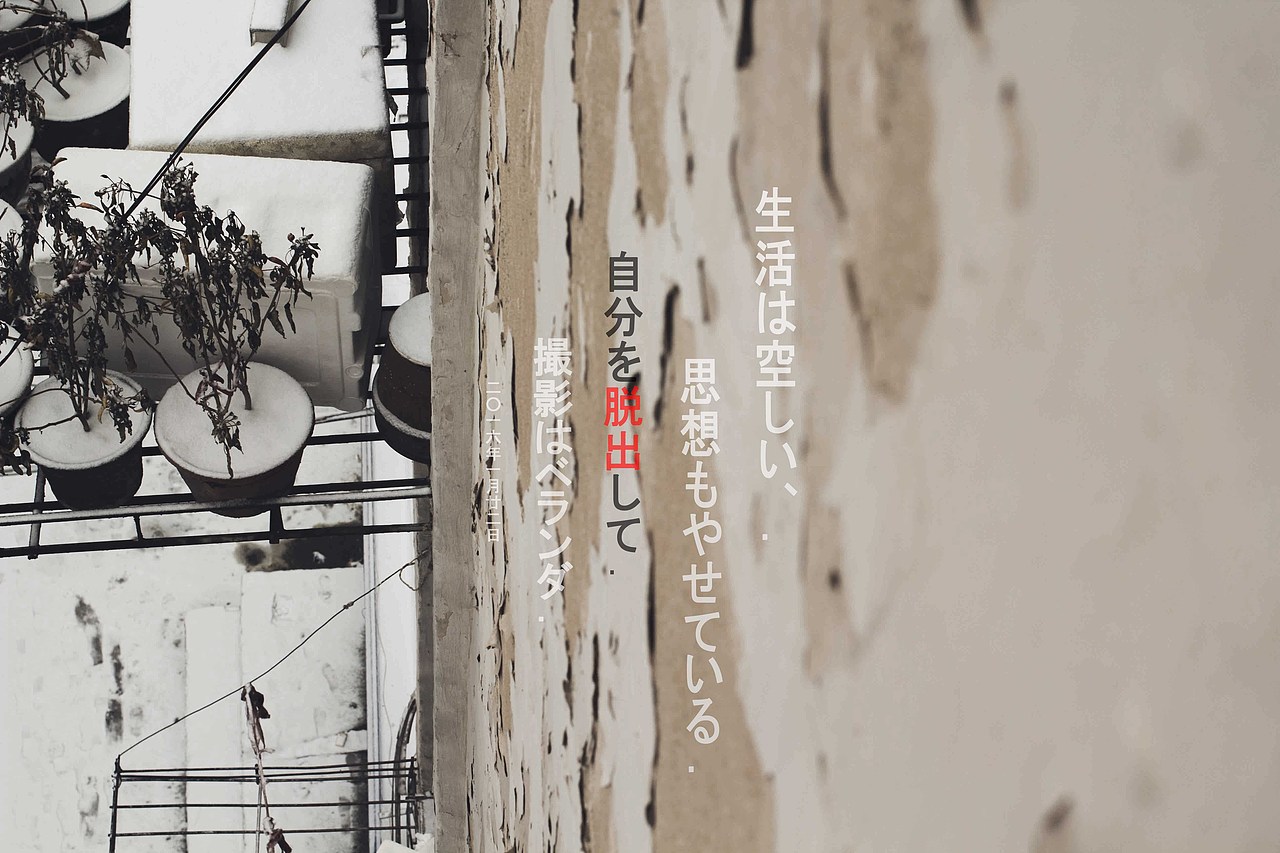 coldlife（图ZNDE2OTcyNDA=） - 产品摄影 - 站酷设计师这只蟑螂原创素材 - 站酷ZCOOL