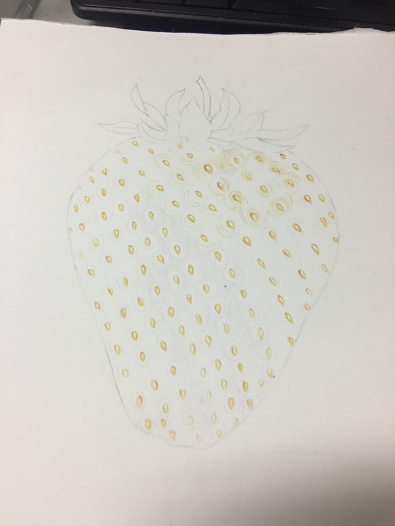 手绘草莓（图ZNzg5NzYxNDg=） - 艺术插画 - 站酷设计师vispoe原创素材 - 站酷ZCOOL