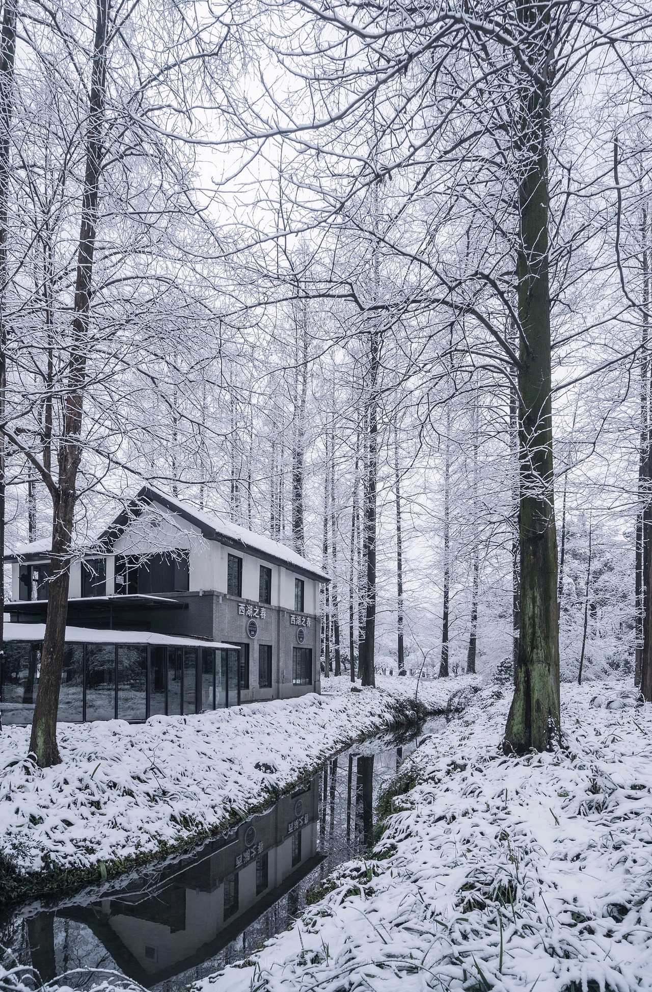 2018杭州雪景专辑