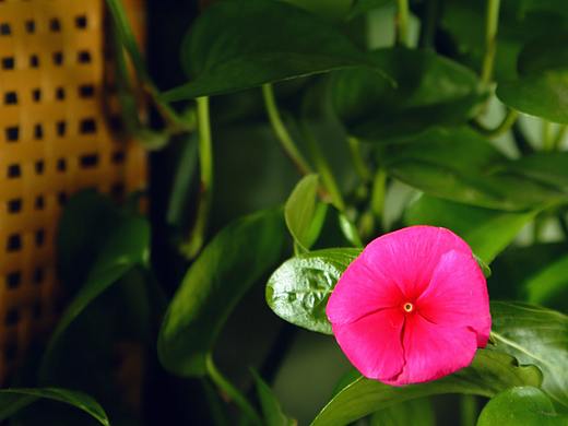 有火气（个人主页-ZMzQ2MjIxNjQ=） - 产品摄影 - 站酷设计师顶山小旭原创素材 - 站酷ZCOOL