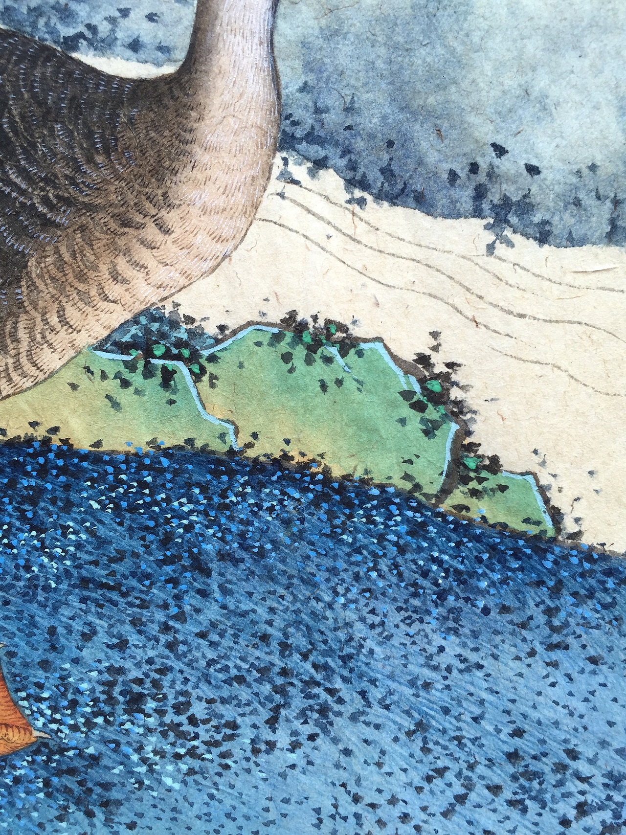 藏君绘《十钗声》工笔重彩花鸟