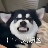 七圆的头像