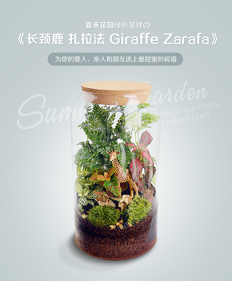 绿植手作之长颈鹿扎拉法--《夏末花园成长日记27》（图ZMjU4ODgxNDg=） - 其他手工艺 - 站酷设计师zxsummer原创素材 - 站酷ZCOOL