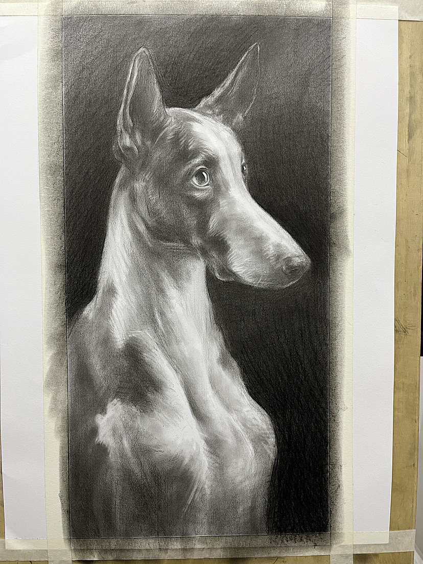 画了一条不知道叫什么的狗！（图ZMzM2NDcwMTcy） - 绘画 - 站酷设计师唐老师的素描课堂原创素材 - 站酷ZCOOL