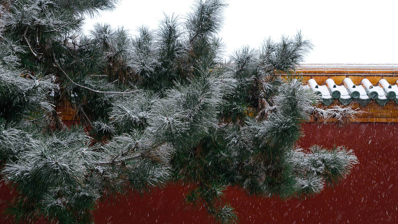 雪后红墙×沈阳故宫