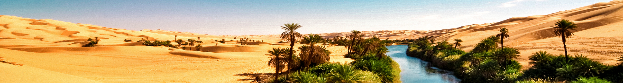 綠洲哥哥的個(gè)人主頁(yè)（封面預(yù)覽） - 主頁(yè)封面設(shè)置 - 站酷設(shè)計(jì)師綠洲哥哥原創(chuàng)素材 - 站酷ZCOOL