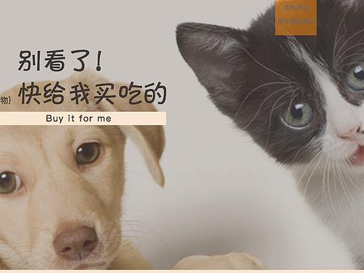 宠物网页设计