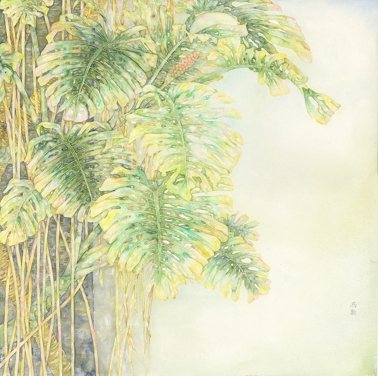 龟背竹 - 原创作品 - 站酷(zcool)