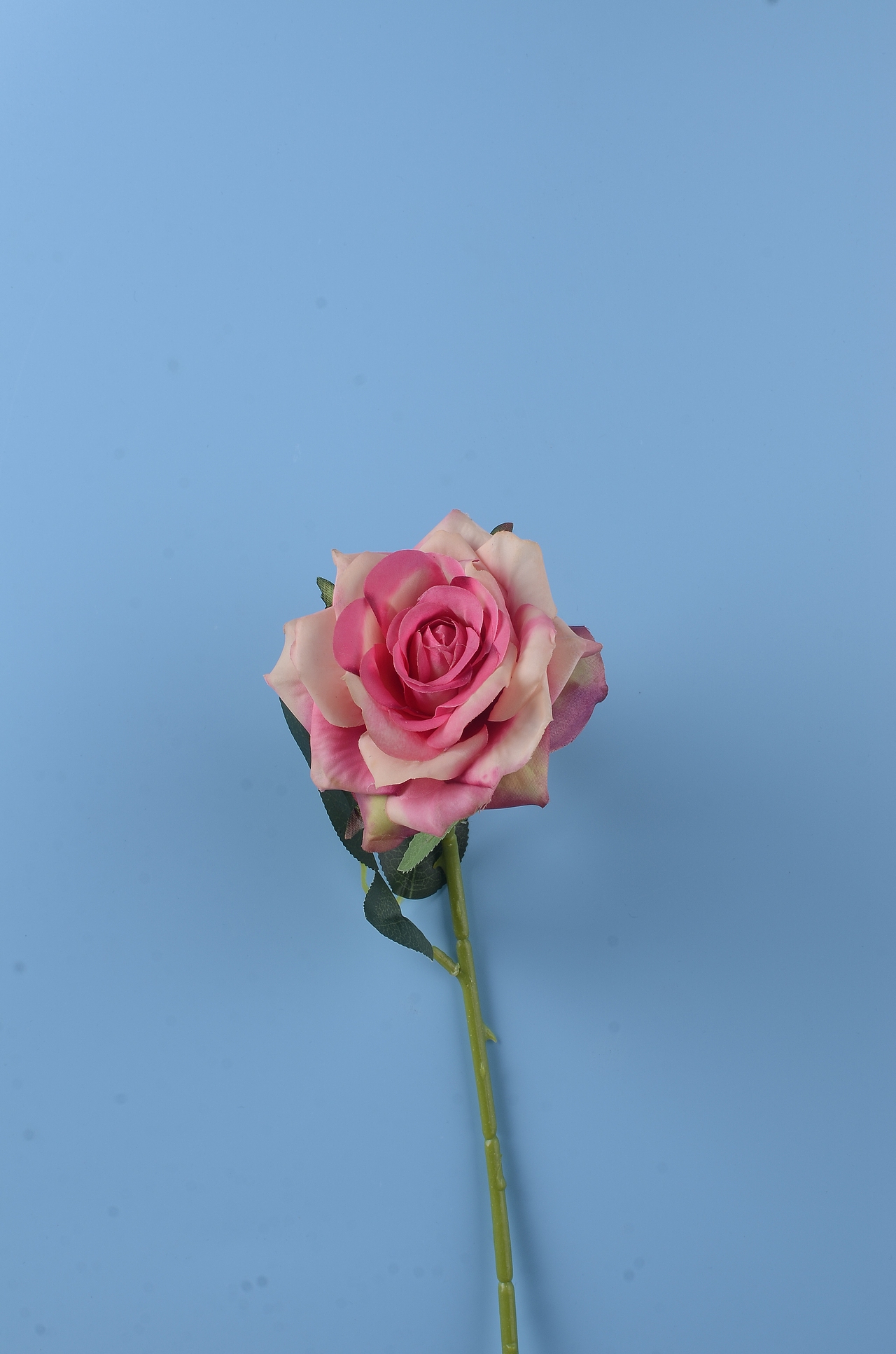 花花世界（图ZMTY2NTk3Njc2） - 产品摄影 - 站酷设计师我是一条好汉原创素材 - 站酷ZCOOL