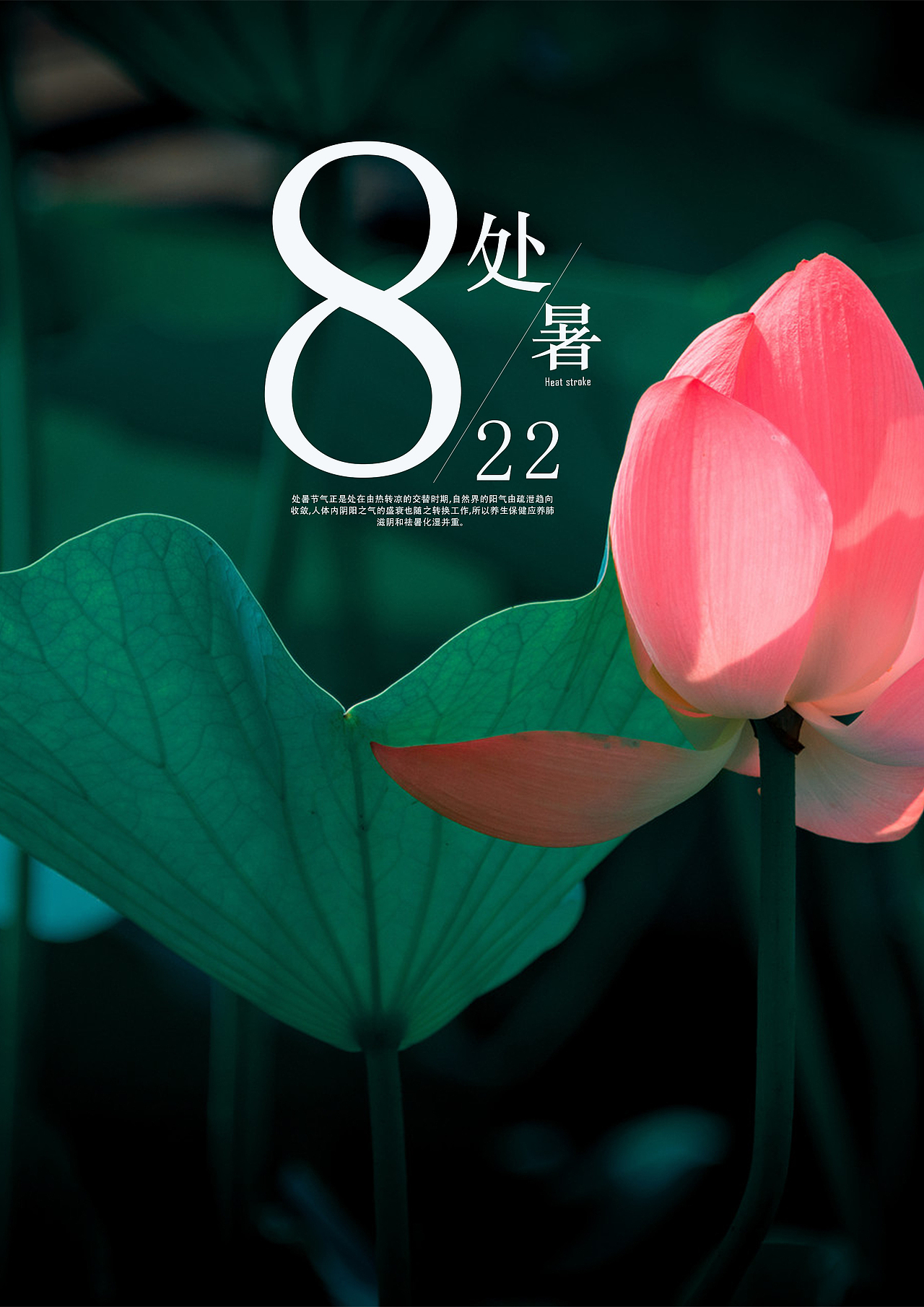 处暑（图ZMjEyMjQzNDk2） - 海报 - 站酷设计师Z13649799原创素材 - 站酷ZCOOL