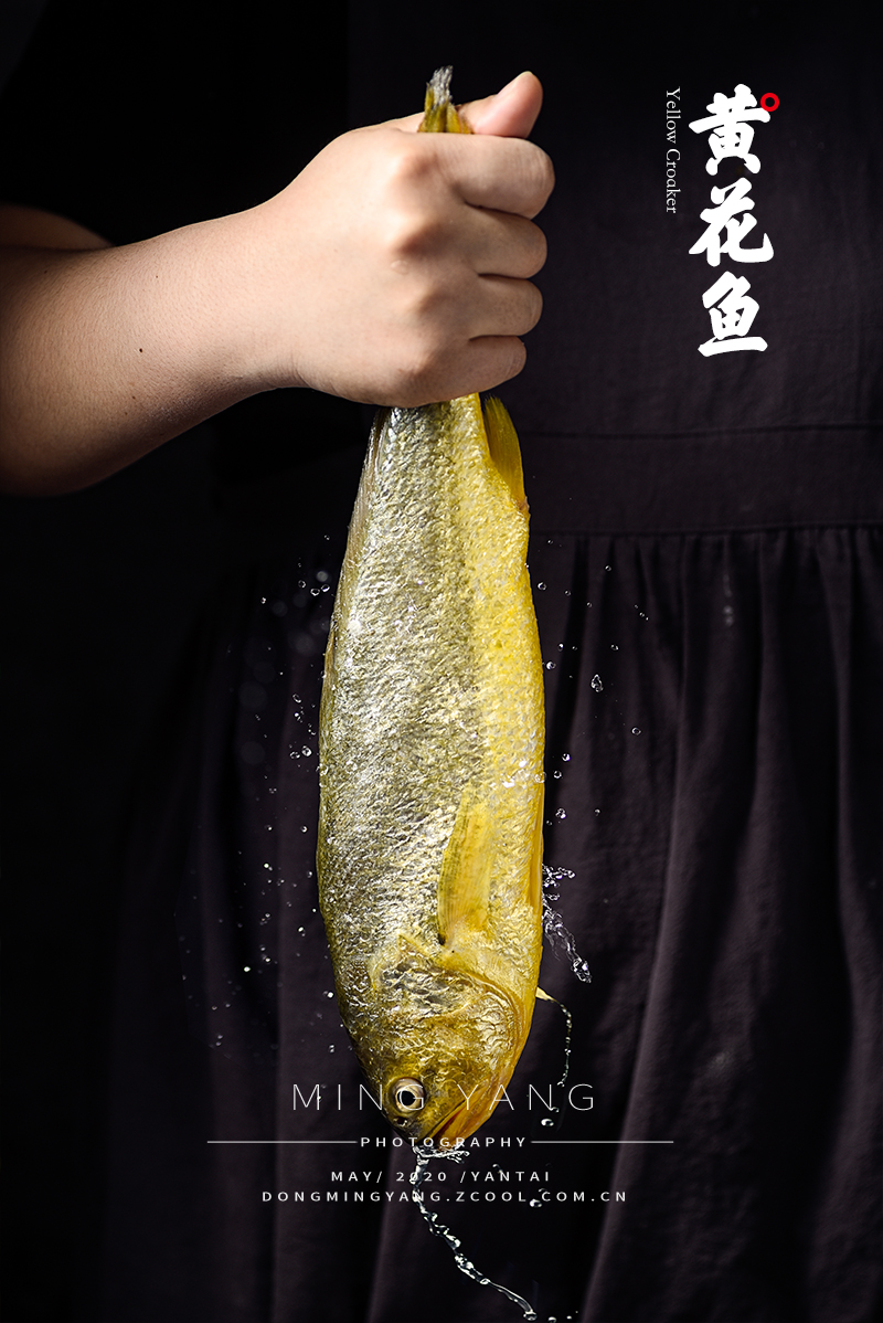 大黄花鱼作品图片