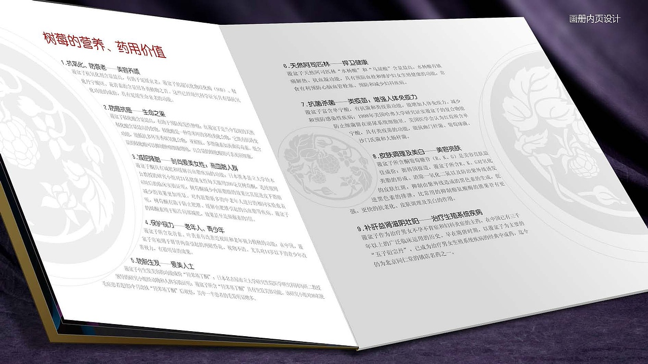 树莓整体包装设计（图ZMTQ0MDAxNjQ=） - 品牌 - 站酷设计师懒散的橙色原创素材 - 站酷ZCOOL