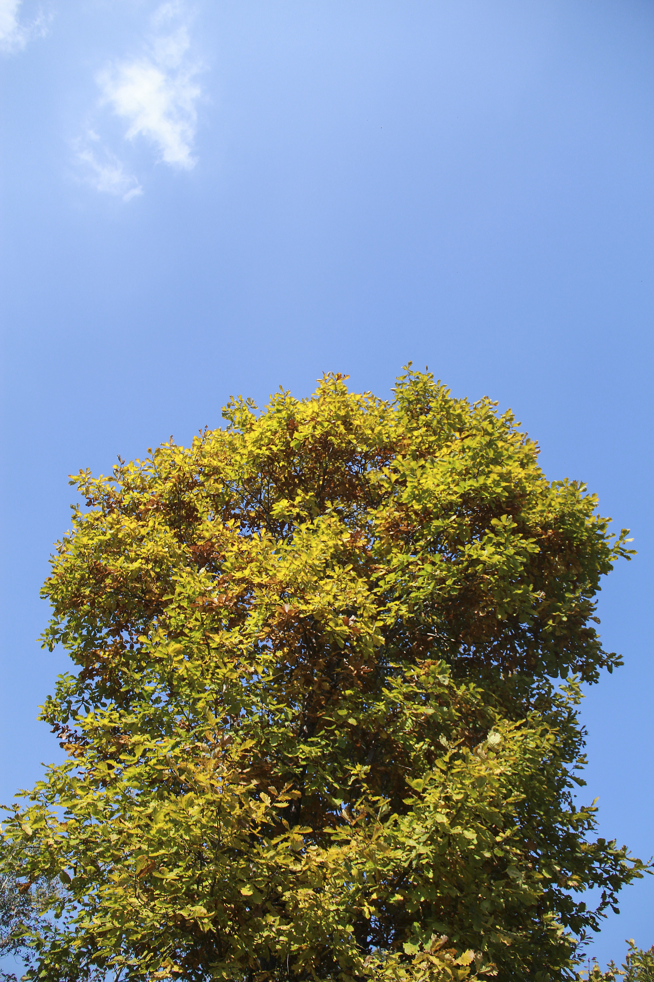 哈爾濱北方森林動物園（圖ZNzA5OTA1ODQ=） - 風(fēng)光攝影 - 站酷設(shè)計師山山而川上的麥子原創(chuàng)素材 - 站酷ZCOOL