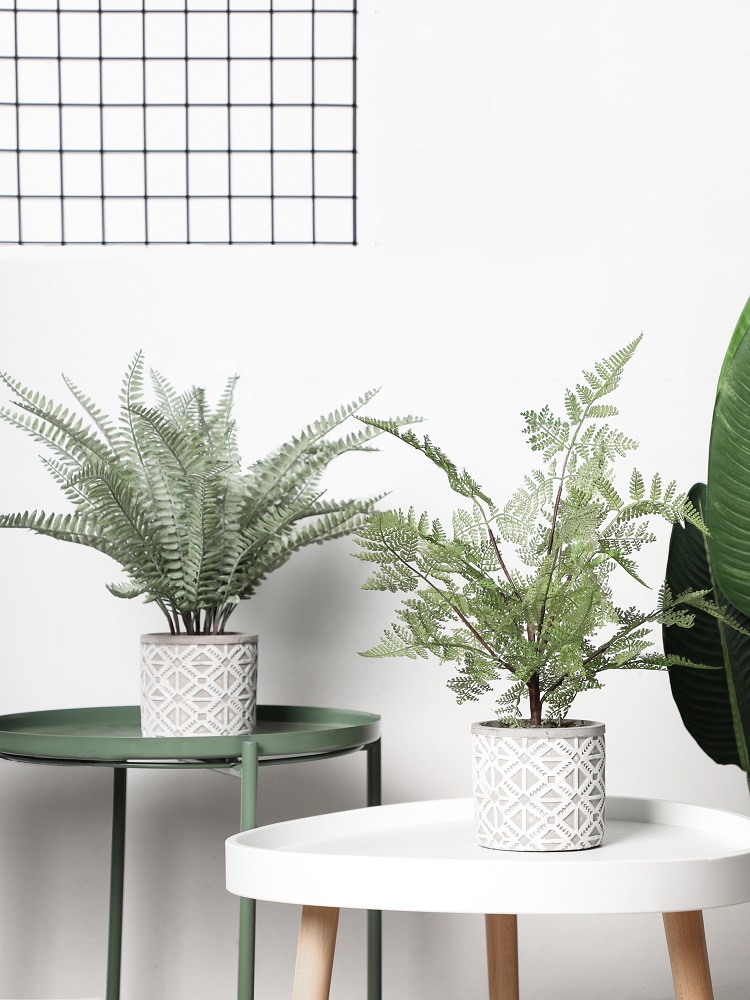 livetai花花世界的个人主页（封面预览） - 主页封面设置 - 站酷设计师livetai花花世界原创素材 - 站酷ZCOOL