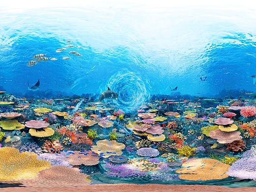 Lamer×QQ海洋行动