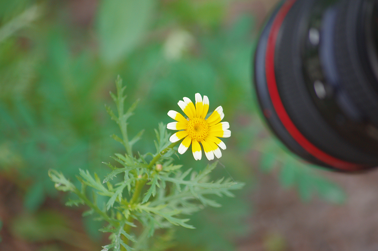 一个册子一个故事