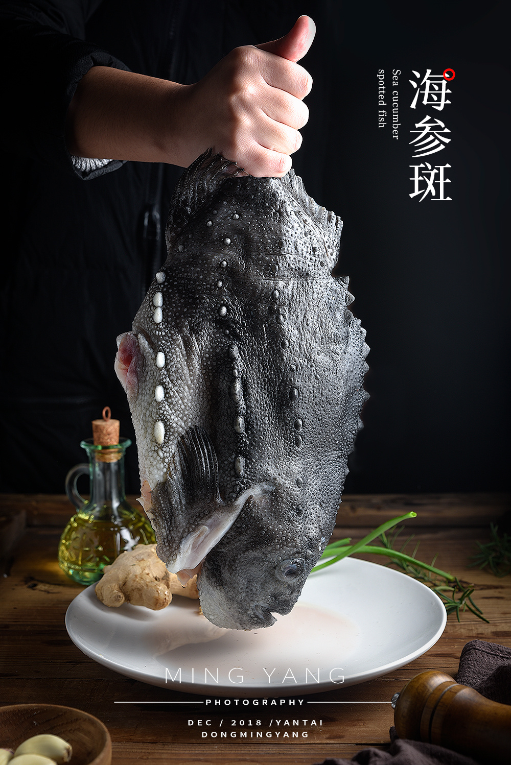 海鱼海参斑石斑鱼拍摄