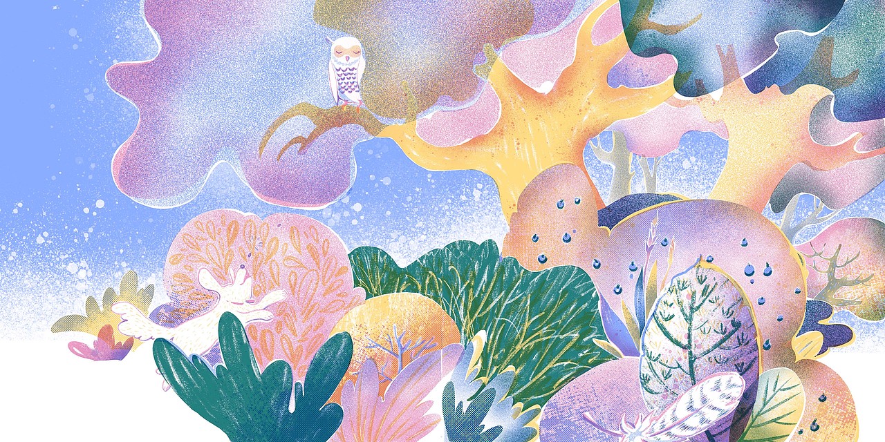 儿童绘本-我们能发现什么？ 和小动物一起的森林探险（图ZMjgxNjY1MTU2） - 绘本 - 站酷设计师千儿不会飞原创素材 - 站酷ZCOOL