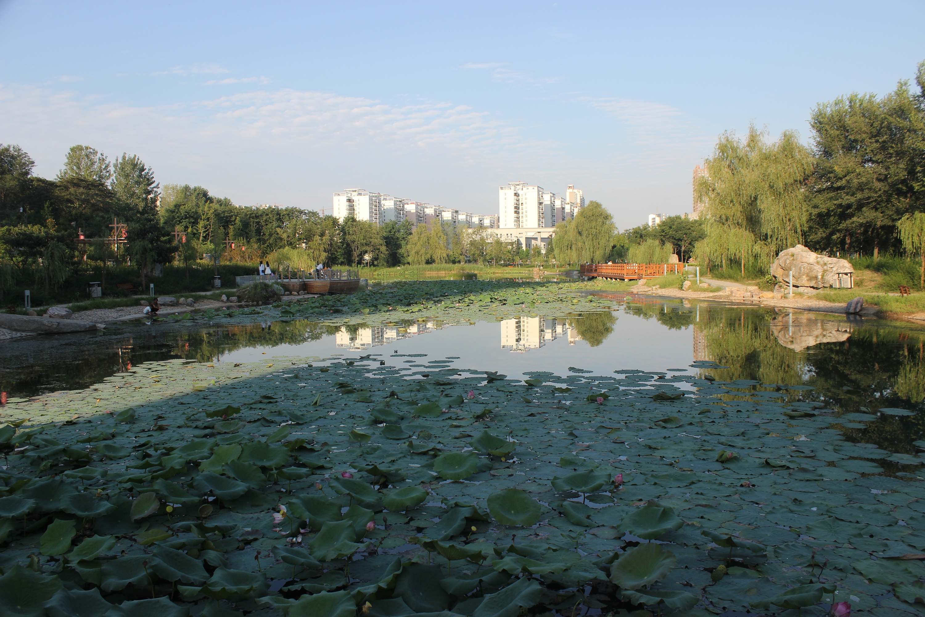 黄淮学院美景|摄影|风光摄影|dinfer1 - 原创作品 - 站酷 (zcool)