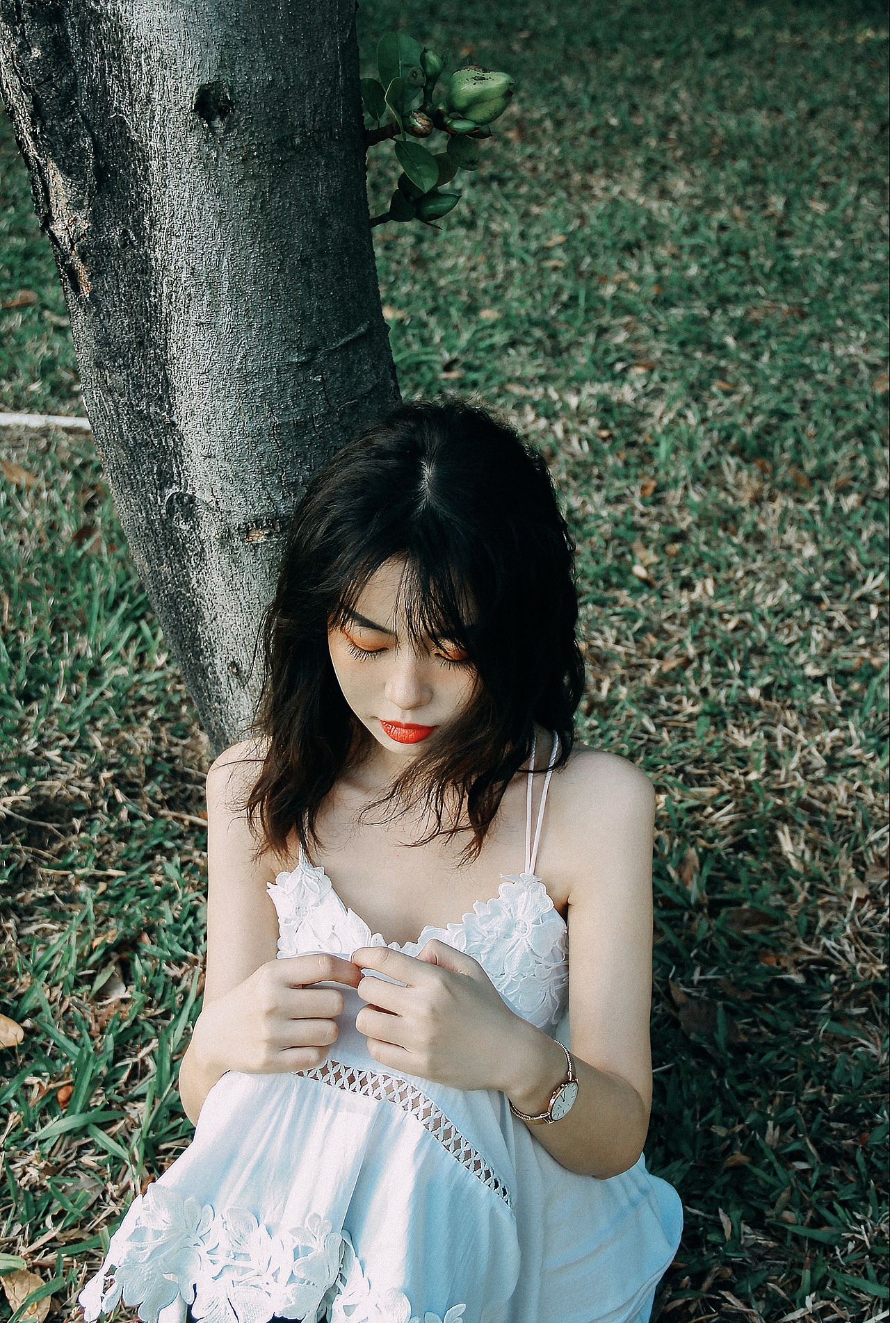 一起来广东吹冬天的风吧