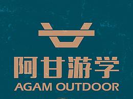 阿甘游学《远征腾格里》游戏卡牌
