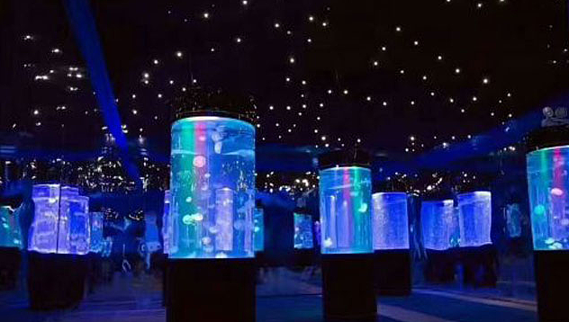 美人鱼表演出租 海洋展租赁（图ZMjU0MzE3MTQw） - 文案/策划 - 站酷设计师taotaowenhua125原创素材 - 站酷ZCOOL