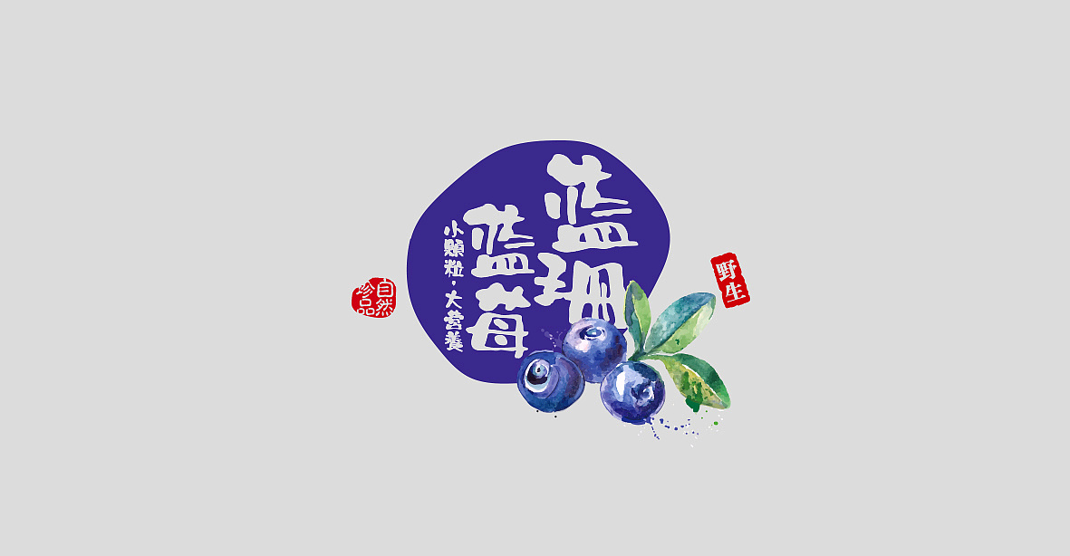 大兴安岭蓝珊蓝莓品牌全案