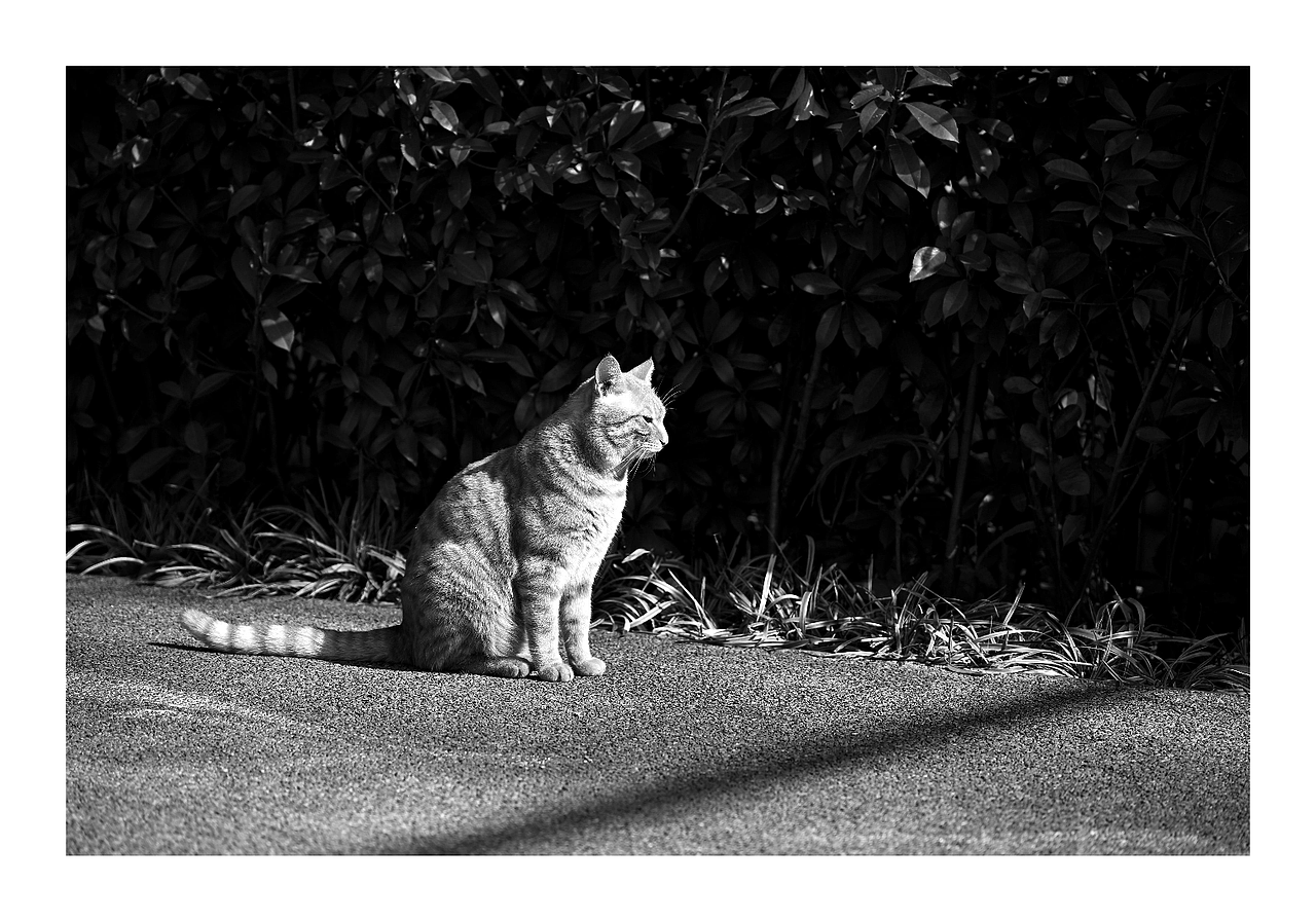 Our life | 黑白摄影（图ZMzU3NTg4NzE2） - 人文/纪实摄影 - 站酷设计师Shadow_Yao原创素材 - 站酷ZCOOL