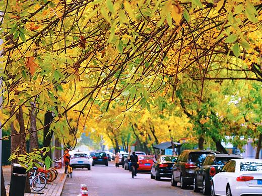 北京 | 最美丽的季节,北平的秋